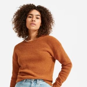 The Teddy Crew Neck Sweater in Cider
